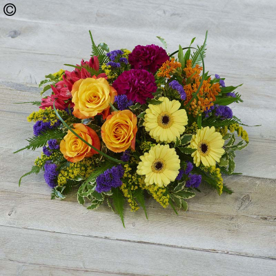 Bold Brights Posy - A vibrant posy featuring germini, roses, carnations and alstroemeria in rich shades.

Please Note: The image relates to the standard variant.