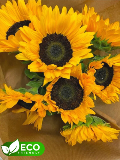 Eco-Friendly Surprise - They are wrapped in natural paper.  No Plastic water bubble.
This striking bright bouquet is bursting with warmth and radiant colour. This bouquet is sure to brighten someone's day. 
The image shows Large Size

Please note: for seasonal and other supply reasons, we may occasionally substitute some of the blooms shown in the image. We will always try to be true to the bouquet's colour coordination, style, and shape and guarantee to give you the full value paid. If you have any queries, please email or call us and we would be delighted to confirm availability and explain alternatives. See the 'Contact Us' section.