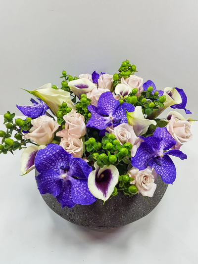 Vanda Orchid Bowl - Please note: for seasonal and other supply reasons we may, from time to time, substitute some of the blooms shown in the image. We will always try to be true to the colour co-ordination, style and shape of the bouquet and will always guarantee to give you the full value paid. If you have any queries, please email or call us and we would be delighted to confirm availability and or explain alternatives. See 'contact us' section.