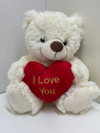 White Teddy (Small) - White Teddy (Small)
