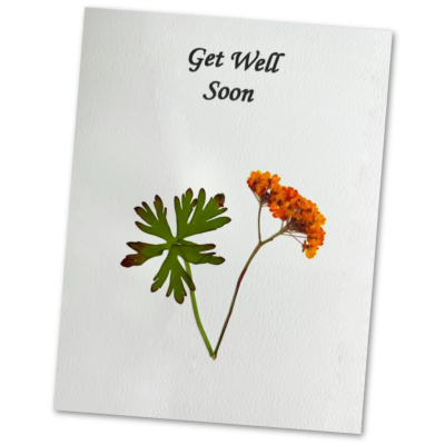 Get Well Greetings Card - Get Well Greetings Card (may vary)